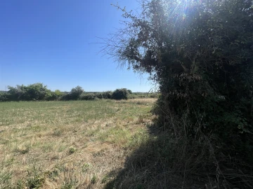 Terreno Agricola ou Rústico para Venda em Escalos de Cima e Lousa