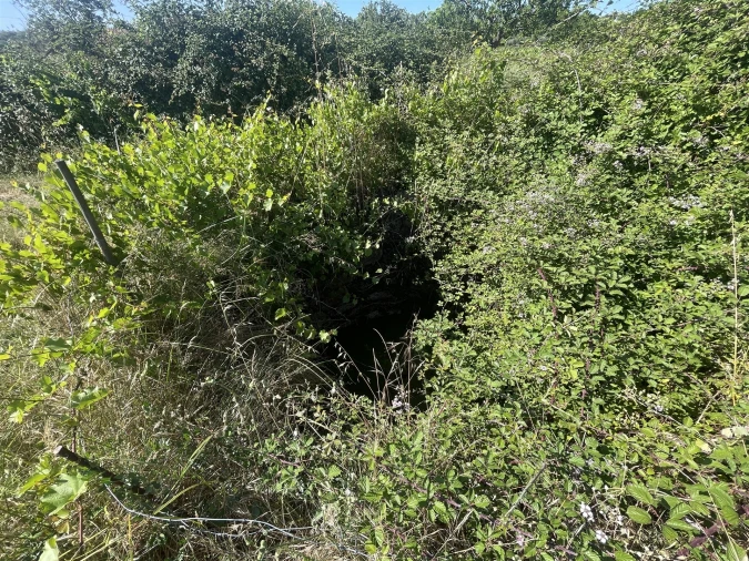 Terreno Agricola ou Rústico para Venda em Escalos de Cima e Lousa Foto 7