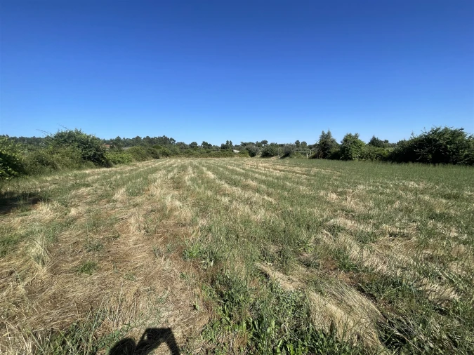 Terreno Agricola ou Rústico para Venda em Escalos de Cima e Lousa Foto 8