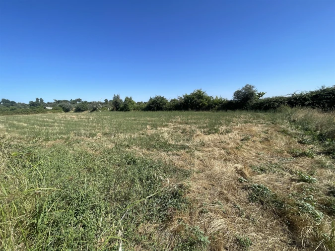 Terreno Agricola ou Rústico para Venda em Escalos de Cima e Lousa Foto 6