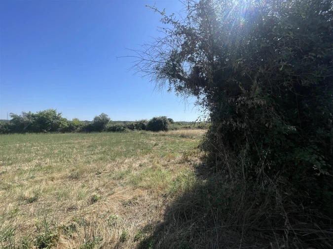 Terreno Agricola ou Rústico para Venda em Escalos de Cima e Lousa Foto 9
