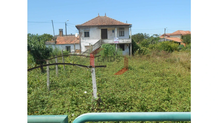 Moradia T3 para Venda em Pinheiro da Bemposta, Travanca e Palmaz Foto 3