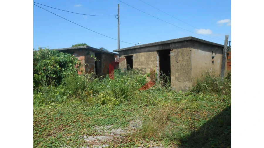 Moradia T3 para Venda em Pinheiro da Bemposta, Travanca e Palmaz Foto 6