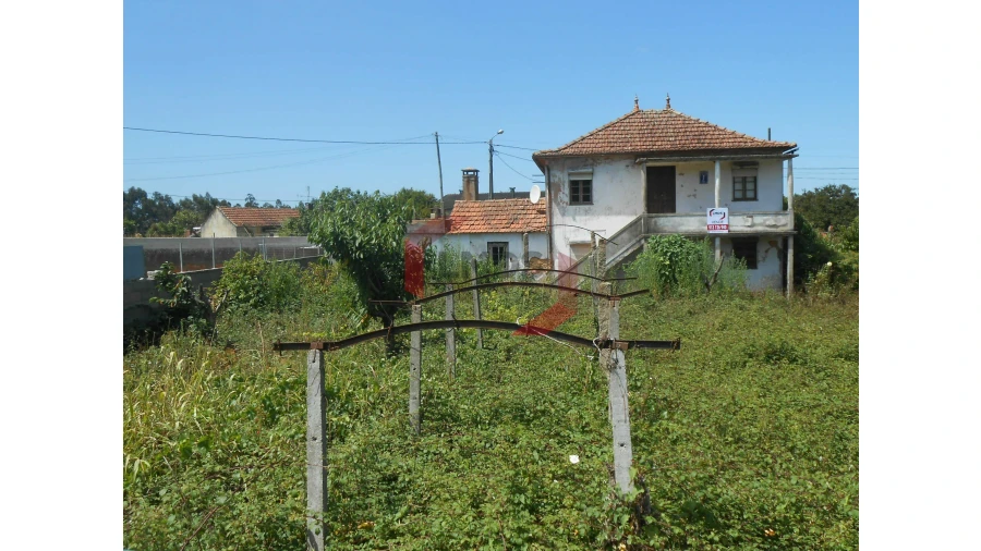 Moradia T3 para Venda em Pinheiro da Bemposta, Travanca e Palmaz Foto 1