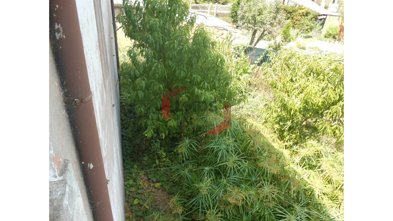 Moradia T3 para Venda em Pinheiro da Bemposta, Travanca e Palmaz Foto 16