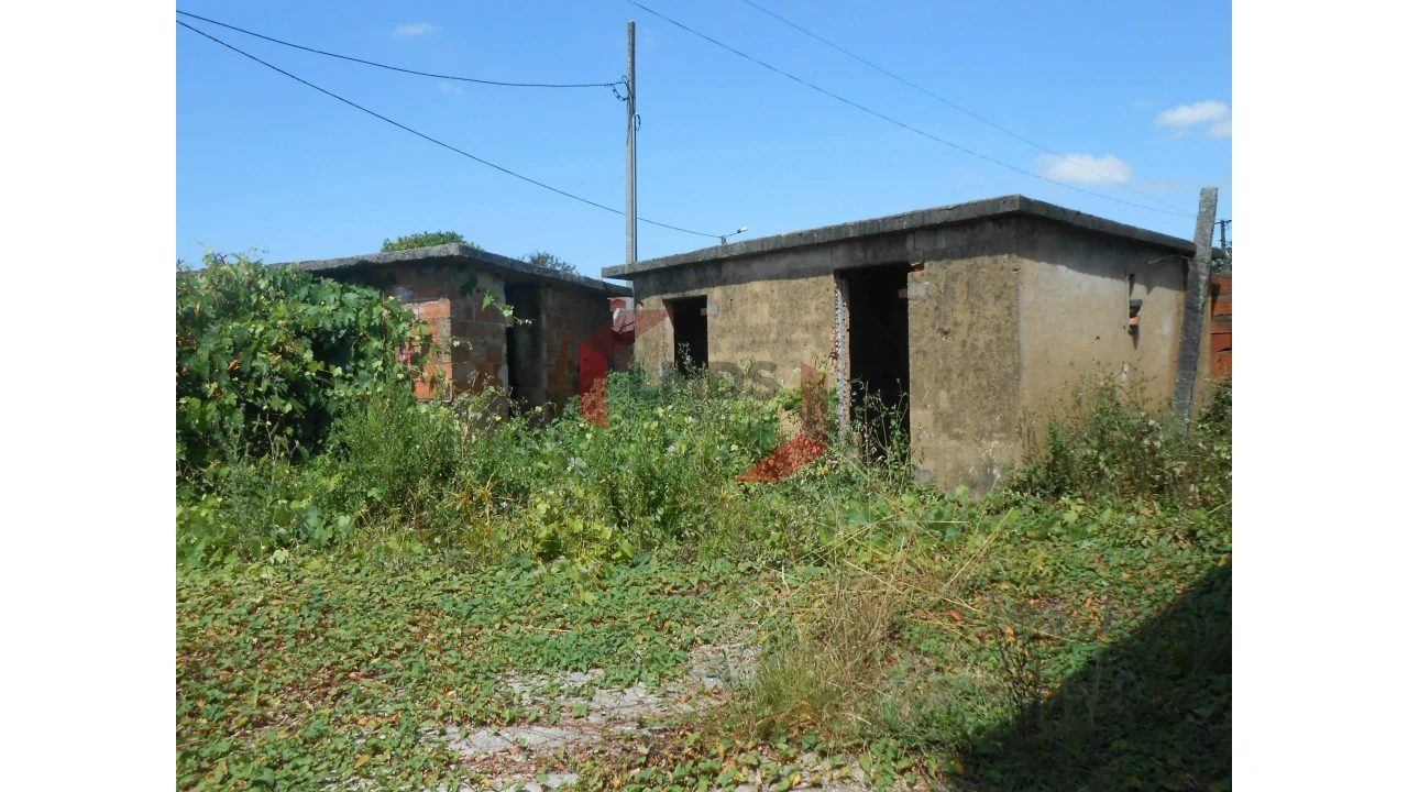 Moradia T3 para Venda em Pinheiro da Bemposta, Travanca e Palmaz Foto 6