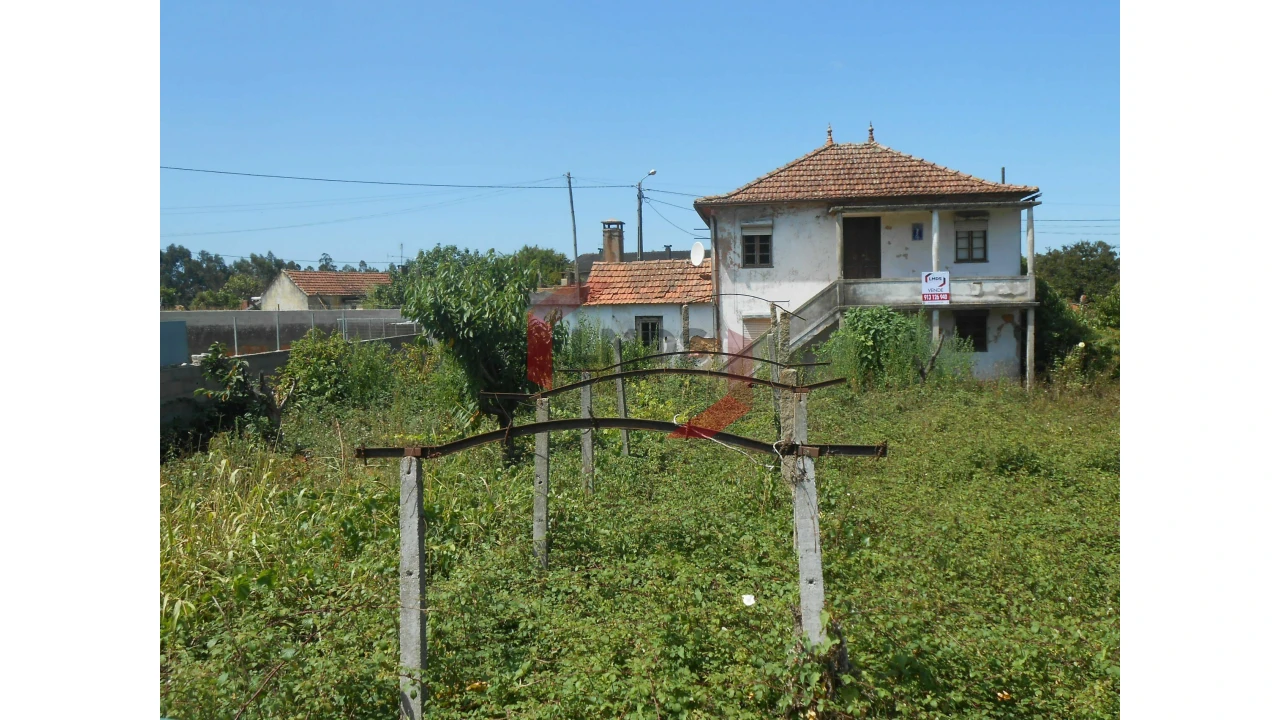 Moradia T3 para Venda em Pinheiro da Bemposta, Travanca e Palmaz Foto 1