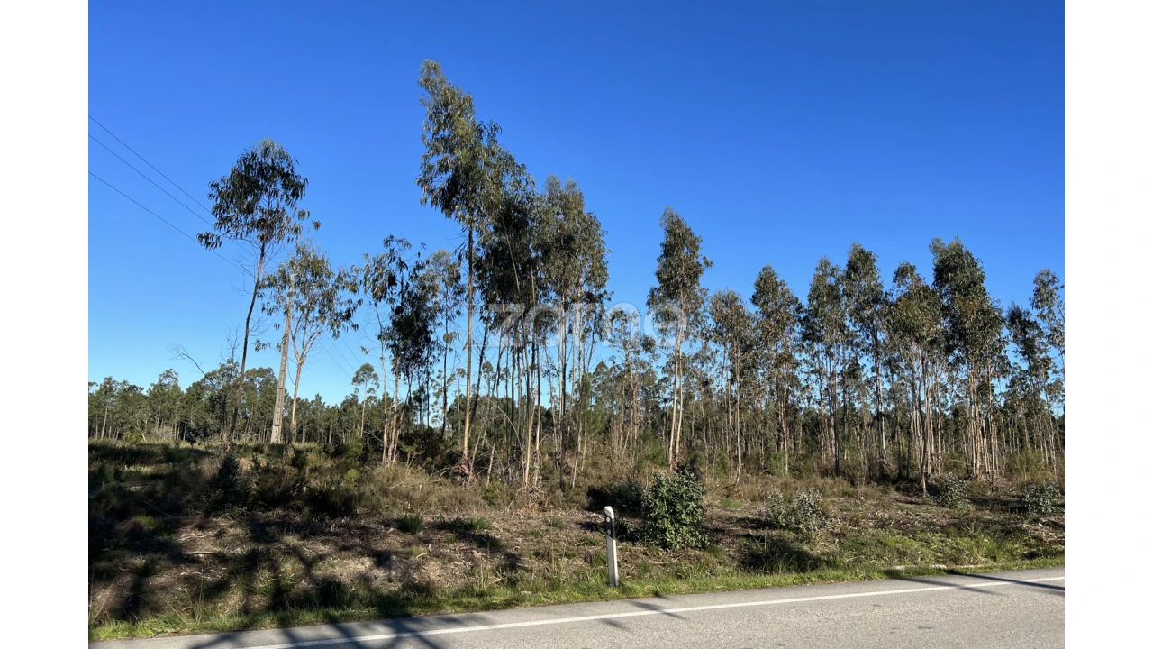 Terreno para Venda em Penacova Foto 8