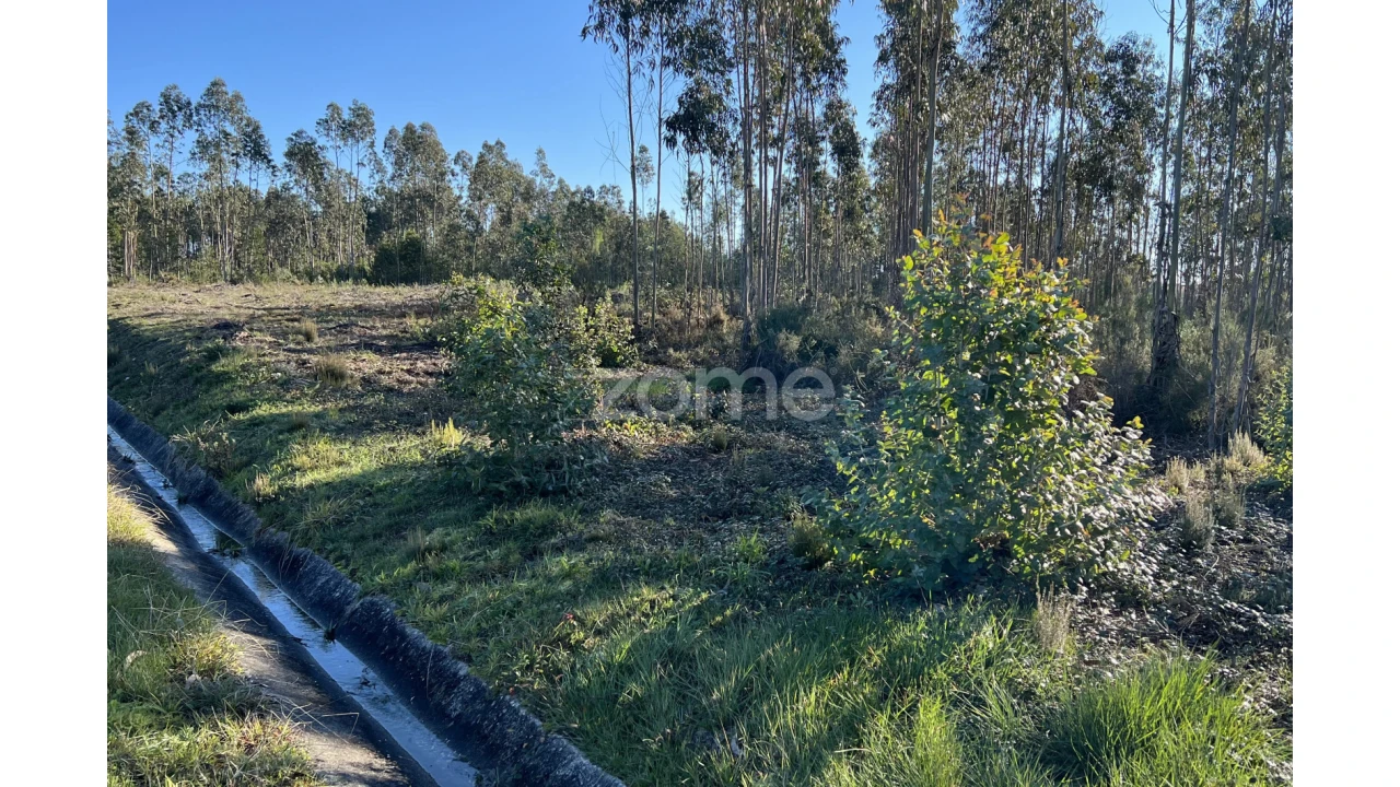 Terreno para Venda em Penacova Foto 11