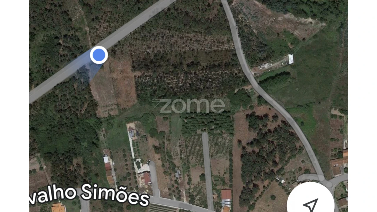 Terreno para Venda em Penacova Foto 13