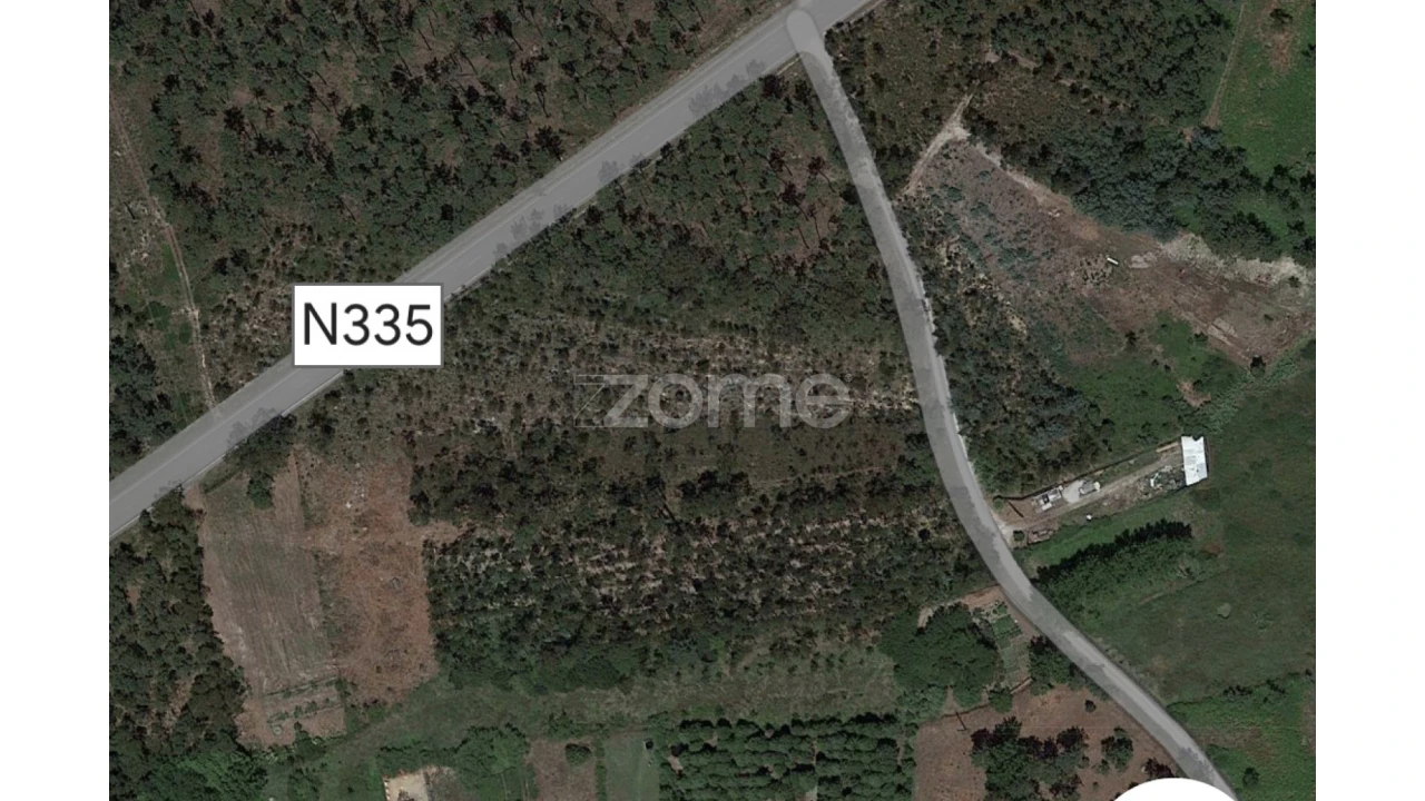 Terreno para Venda em Penacova Foto 14