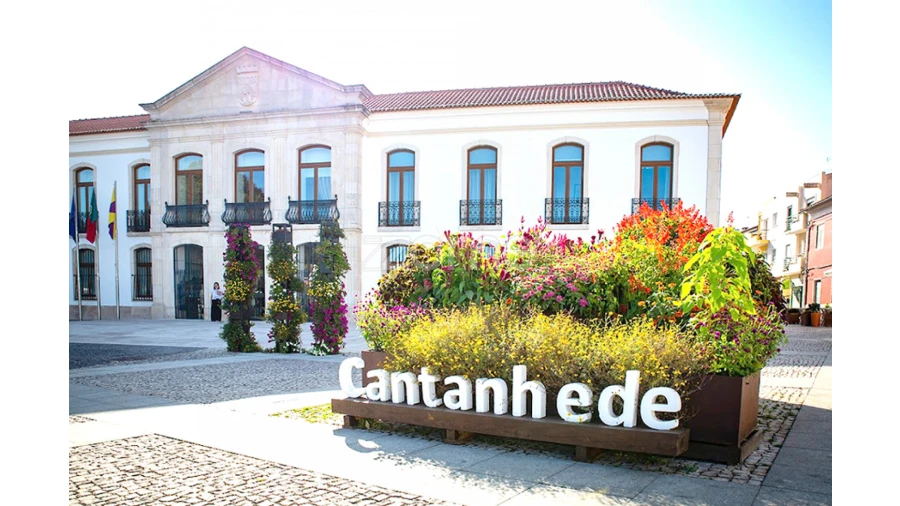 Terreno para Venda em Penacova Foto 15