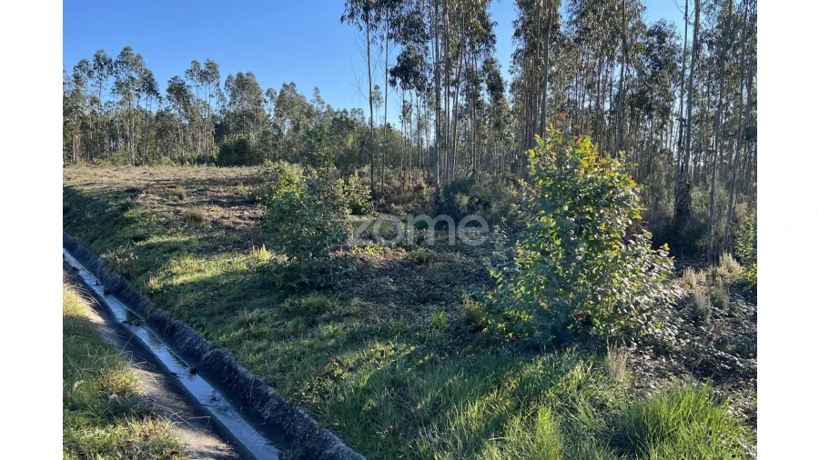 Terreno para Venda em Penacova Foto 11