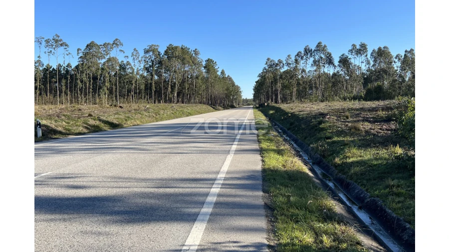 Terreno para Venda em Penacova