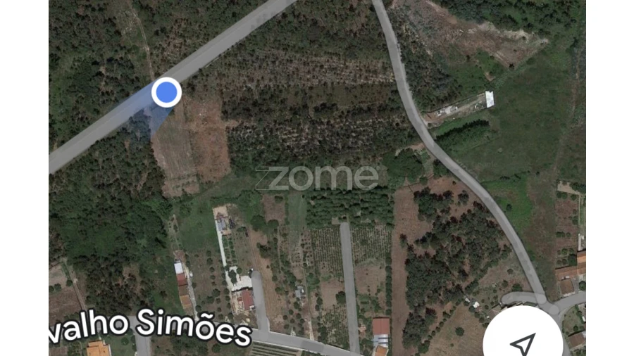 Terreno para Venda em Penacova Foto 13