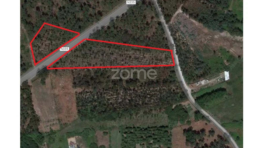 Terreno para Venda em Penacova Foto 2