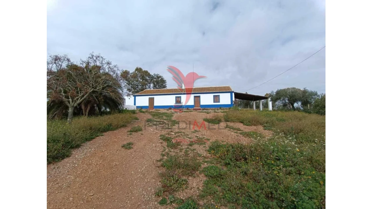 Quinta T4 para Venda em Serpa (Salvador e Santa Maria) Foto 1