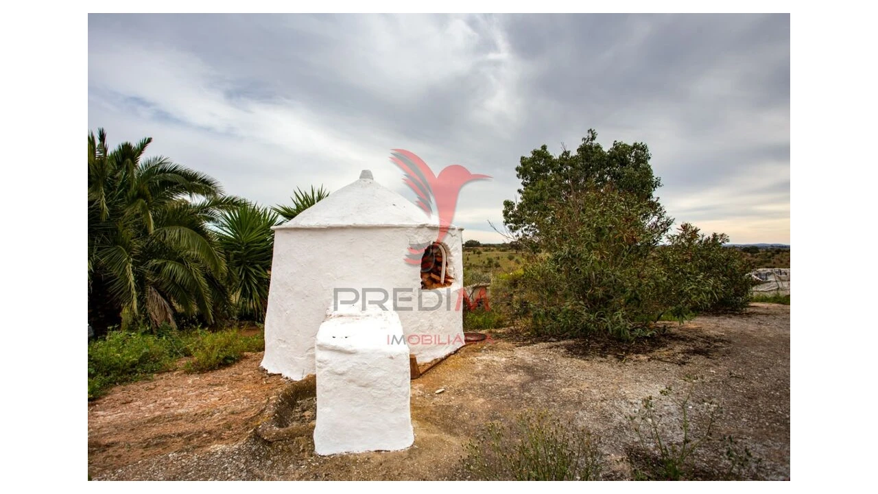 Quinta T4 para Venda em Serpa (Salvador e Santa Maria) Foto 14