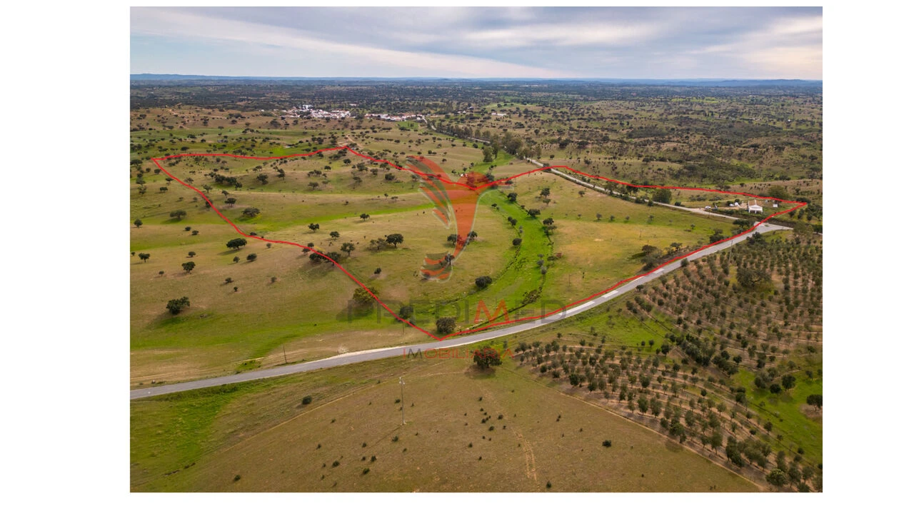 Quinta T4 para Venda em Serpa (Salvador e Santa Maria) Foto 12