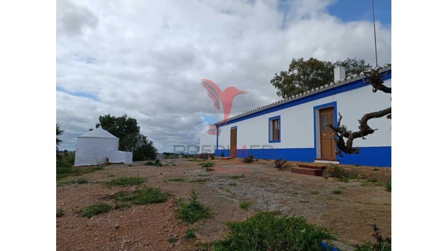 Quinta T4 para Venda em Serpa (Salvador e Santa Maria) Foto 7