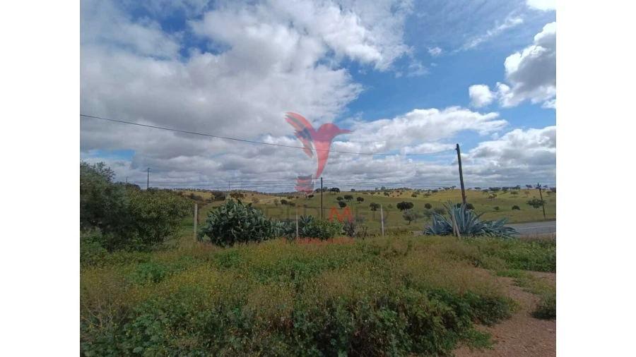 Quinta T4 para Venda em Serpa (Salvador e Santa Maria) Foto 6