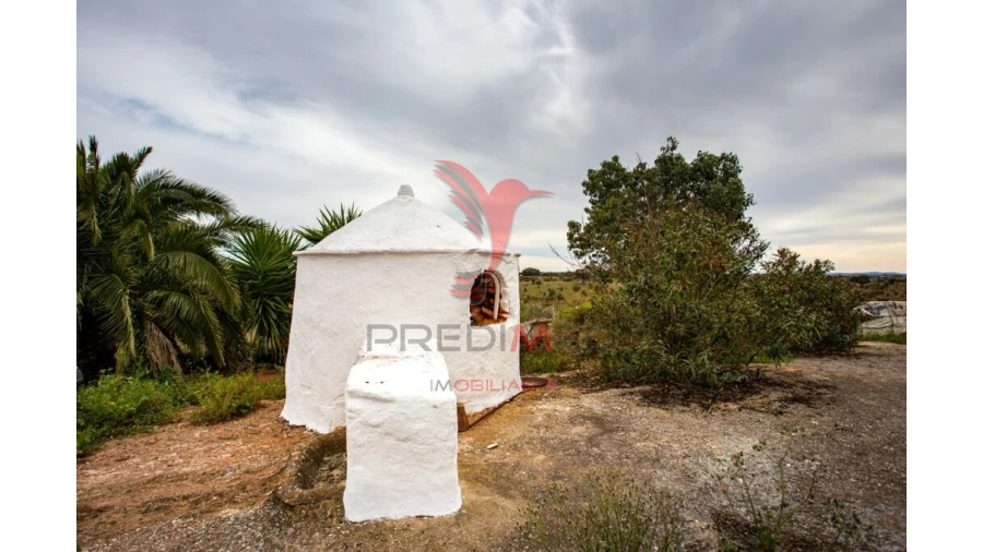 Quinta T4 para Venda em Serpa (Salvador e Santa Maria) Foto 14