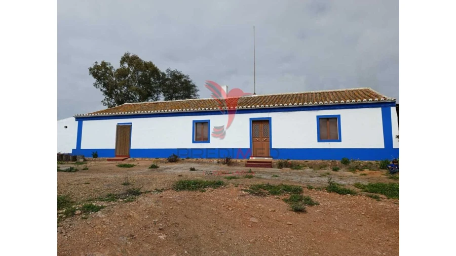 Quinta T4 para Venda em Serpa (Salvador e Santa Maria) Foto 3