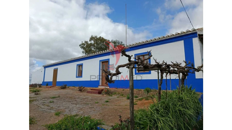 Quinta T4 para Venda em Serpa (Salvador e Santa Maria) Foto 2