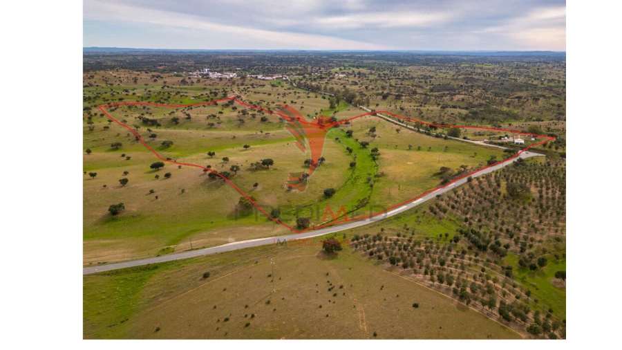 Quinta T4 para Venda em Serpa (Salvador e Santa Maria) Foto 12