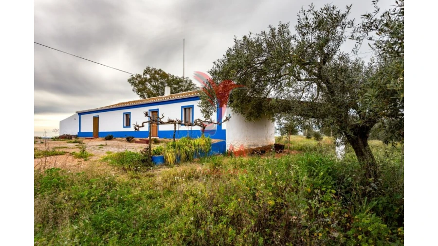 Quinta T4 para Venda em Serpa (Salvador e Santa Maria) Foto 15