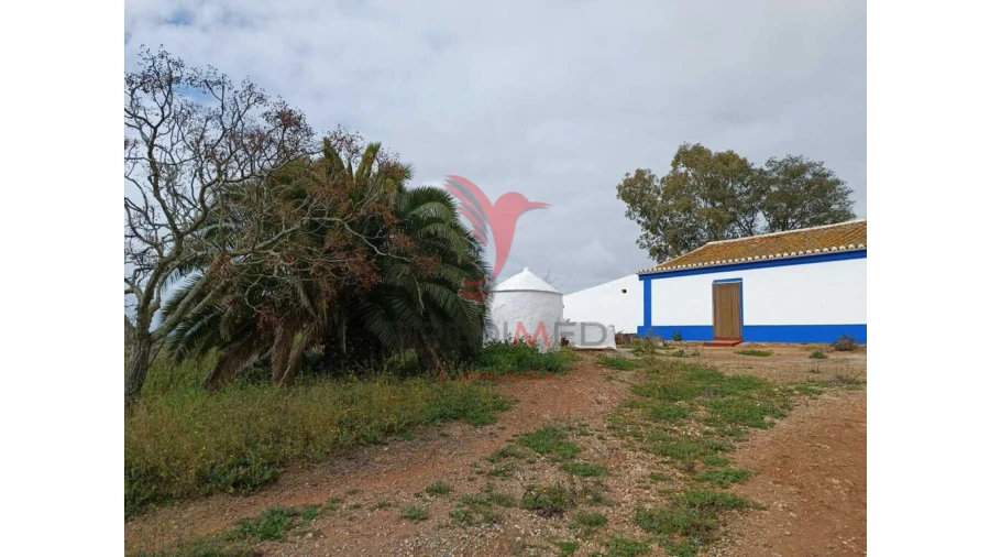 Quinta T4 para Venda em Serpa (Salvador e Santa Maria) Foto 4