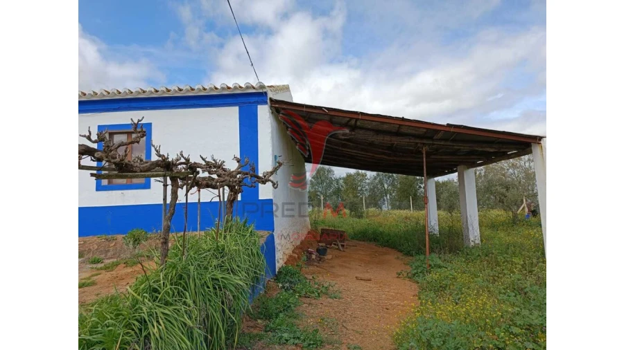 Quinta T4 para Venda em Serpa (Salvador e Santa Maria) Foto 8