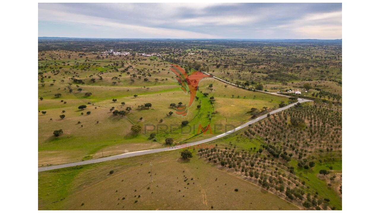 Quinta T4 para Venda em Serpa (Salvador e Santa Maria) Foto 13