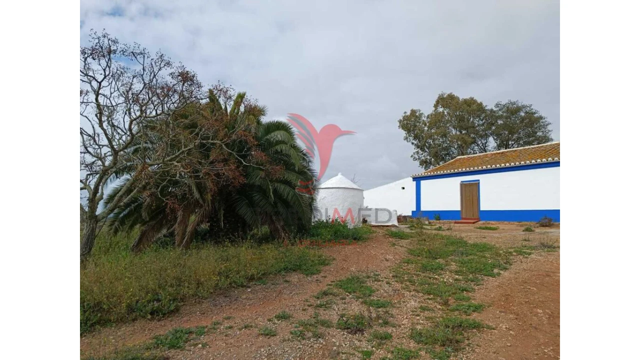 Quinta T4 para Venda em Serpa (Salvador e Santa Maria) Foto 4