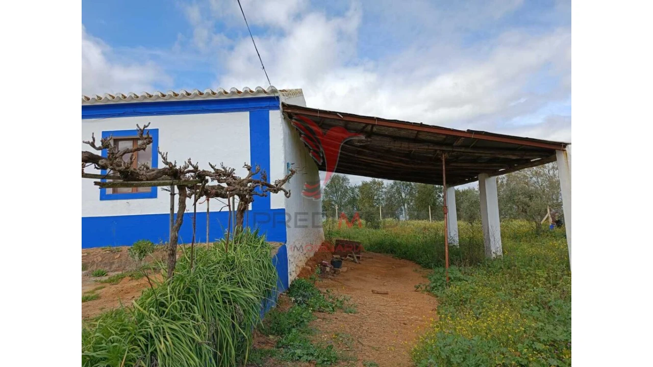 Quinta T4 para Venda em Serpa (Salvador e Santa Maria) Foto 8