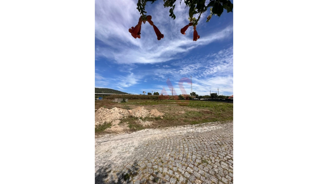 Terreno para Venda em Oliveira (Santa Maria) Foto 9