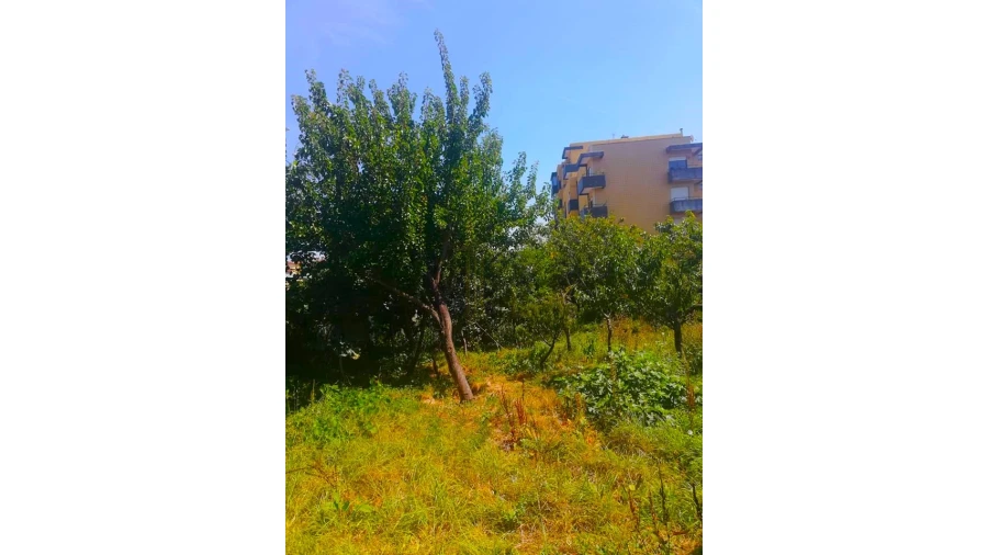 Moradia T0 para Venda em Alfena Foto 4