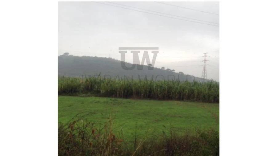 Terreno Agricola ou Rústico para Venda em Castanheira do Ribatejo e Cachoeiras Foto 2