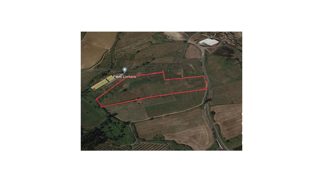 Terreno Comércio / Armazém para Venda em Freiria Foto 4