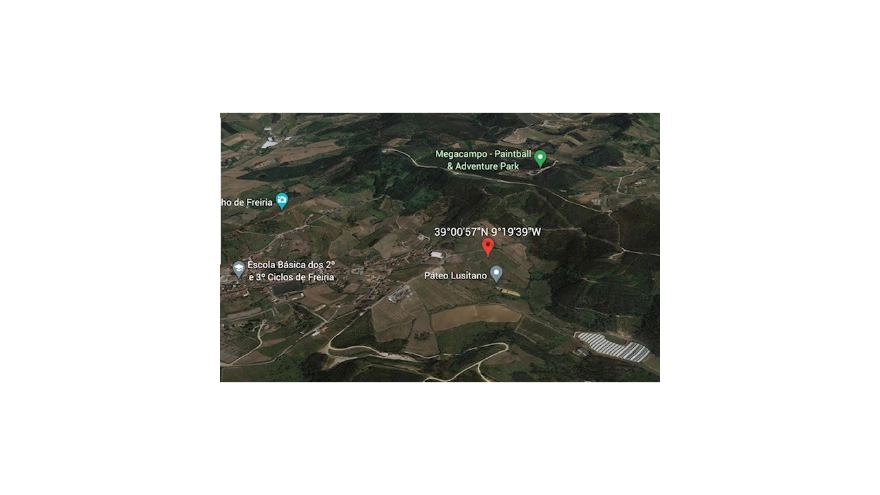 Terreno Comércio / Armazém para Venda em Freiria Foto 6