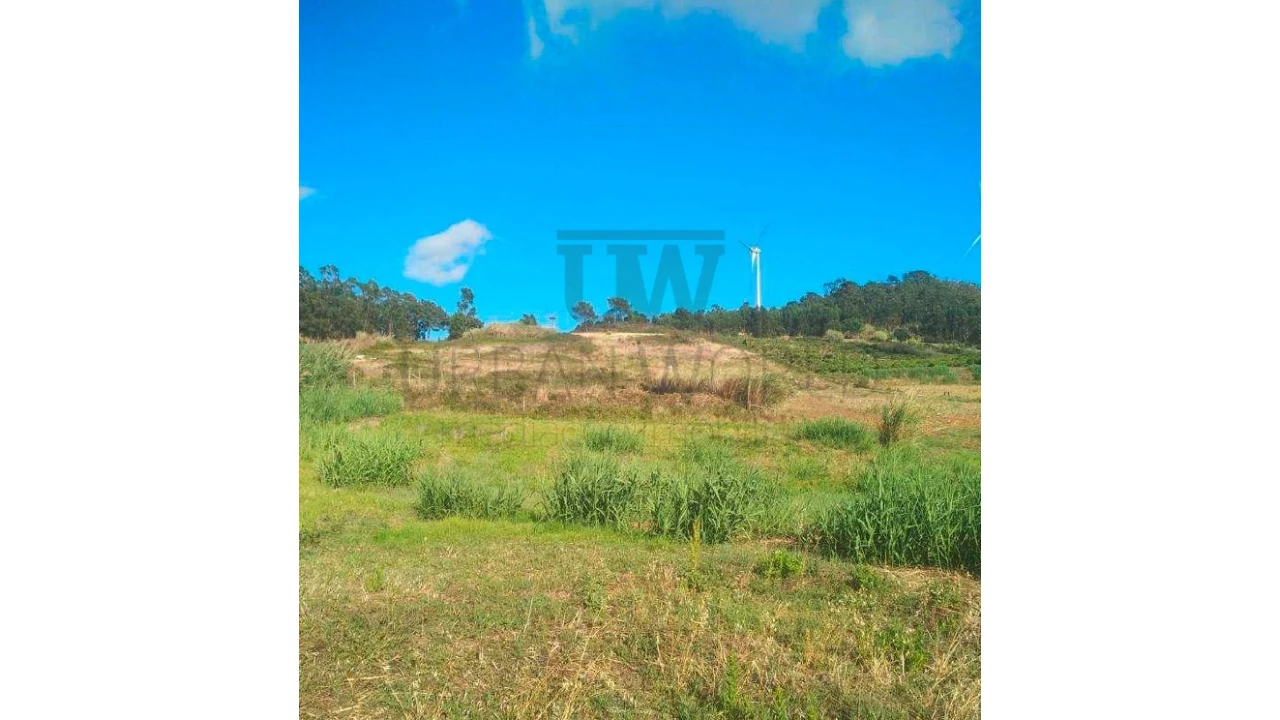 Terreno Comércio / Armazém para Venda em Freiria Foto 2