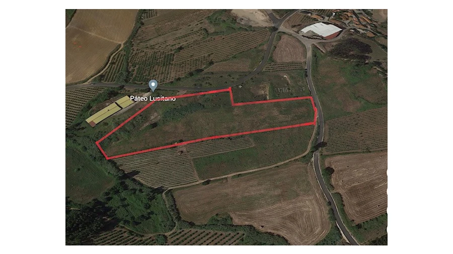 Terreno Comércio / Armazém para Venda em Freiria Foto 4