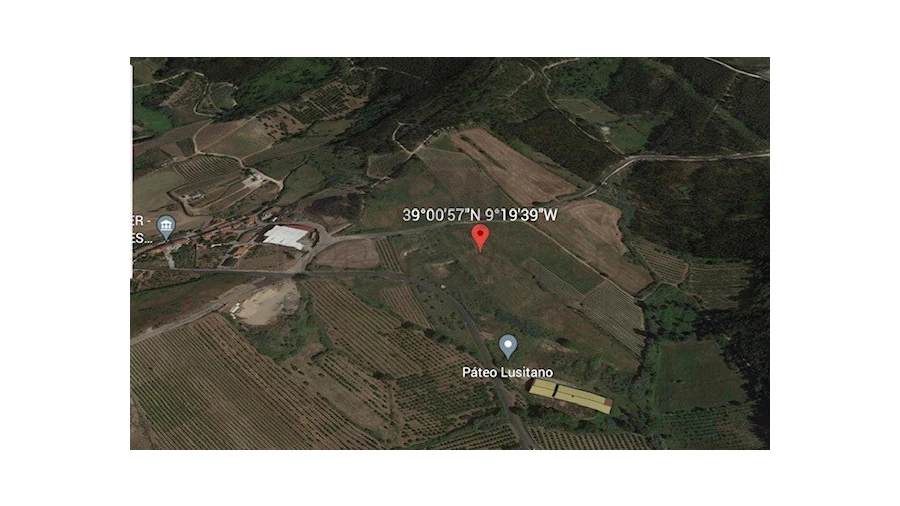 Terreno Comércio / Armazém para Venda em Freiria Foto 8