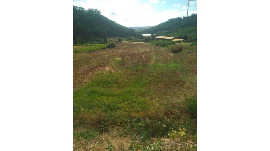 Terreno Comércio / Armazém para Venda em Freiria Foto 3