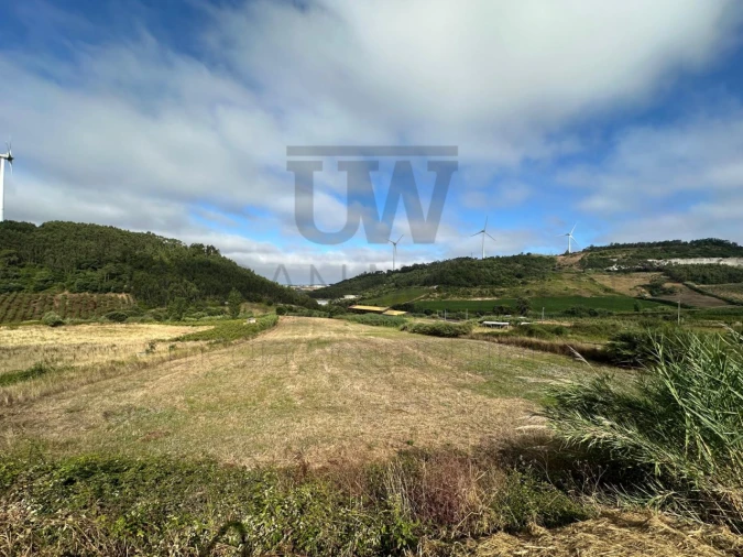 Terreno Comércio / Armazém para Venda em Freiria Foto 1