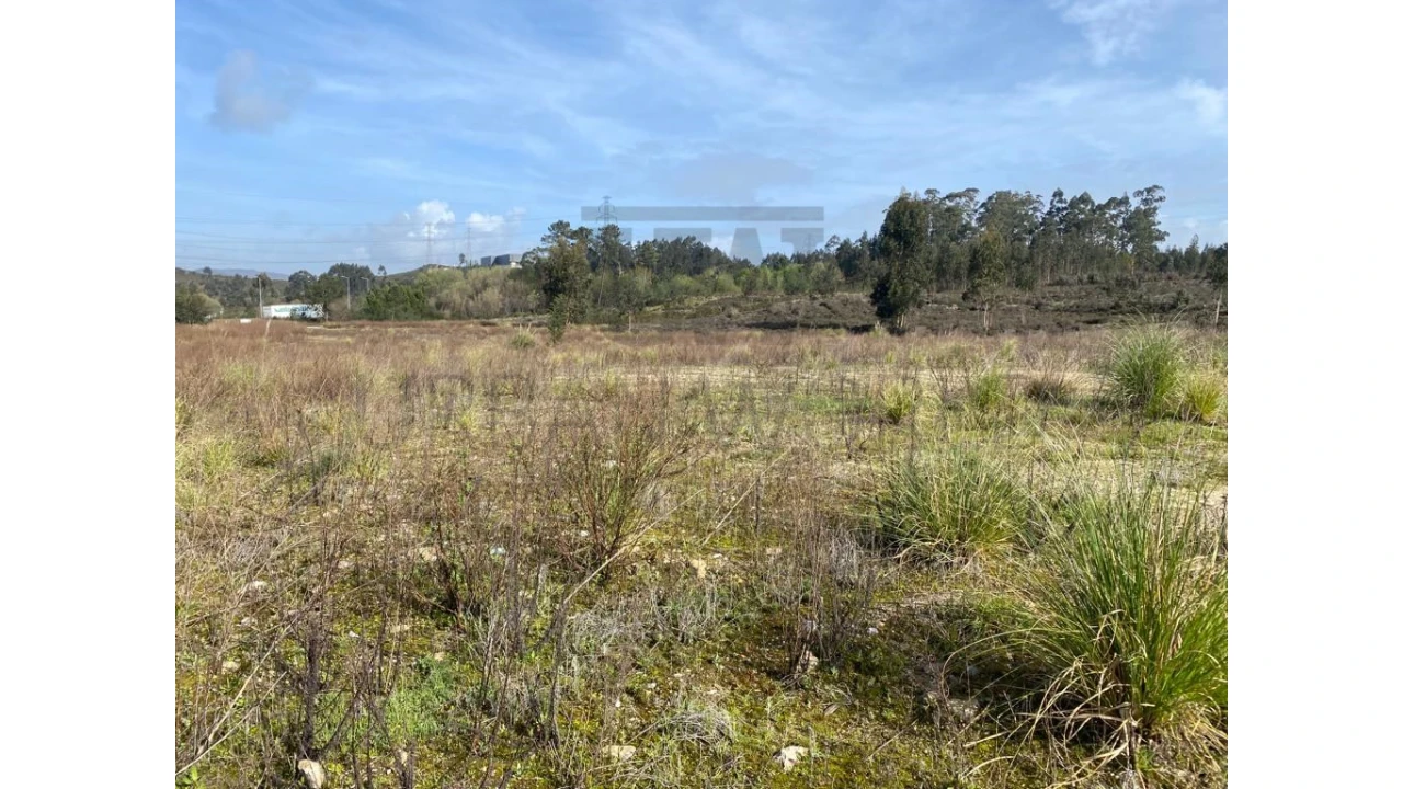 Terreno Comércio / Armazém para Venda em Valongo Foto 1
