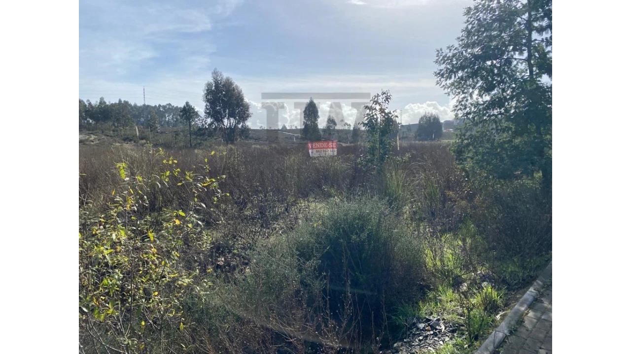 Terreno Comércio / Armazém para Venda em Valongo Foto 14