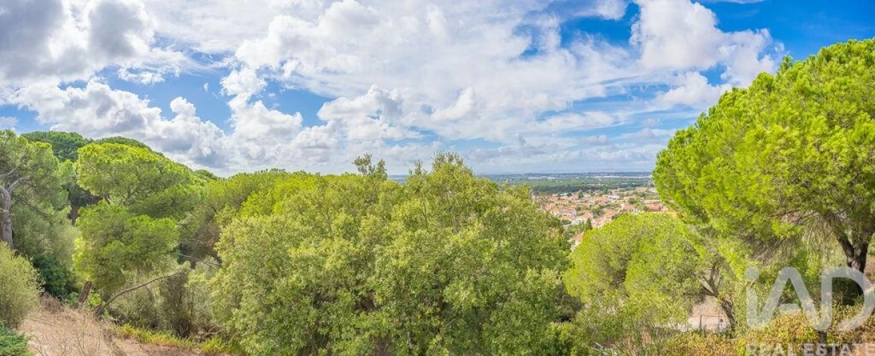 Moradia T14 para Venda em Quinta do Anjo Foto 2