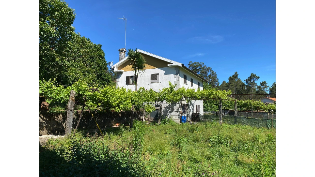 Moradia T3 para Venda em Aguiã Foto 29