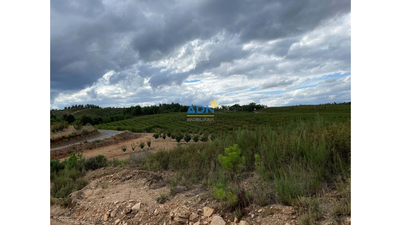 Terreno para Venda em Fatela Foto 5